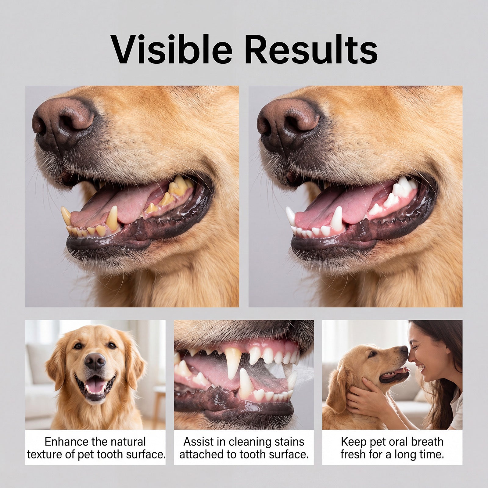 MellowNuzzle Pet Oral Spray – Fresh Breath & Dental Care for Dogs & Cats